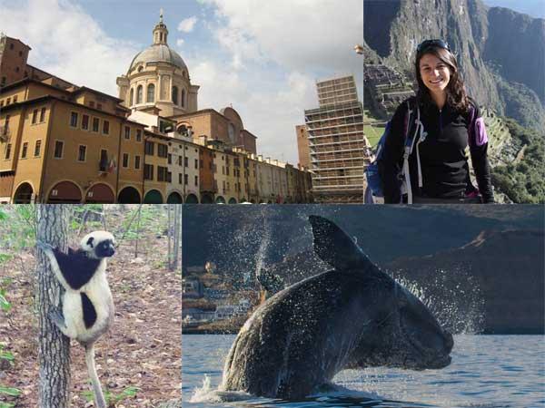 Summer Research Fellowships