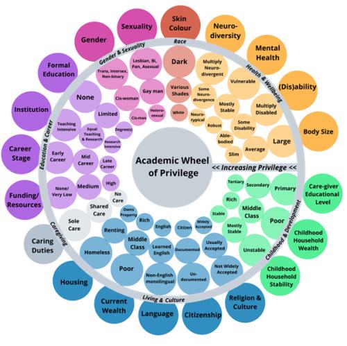 a color wheel showing aspects of academic privilege