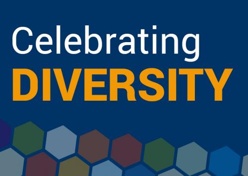 Celebrating diversity image